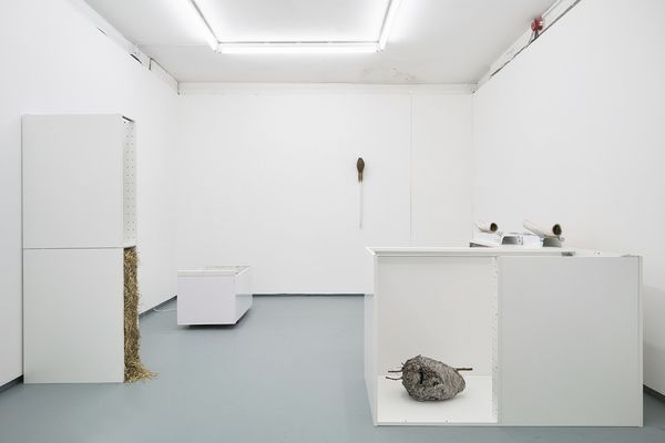 Petra Feriancová & Nicolás Lamas, Becoming Animal at Tenderpixel, photo 2