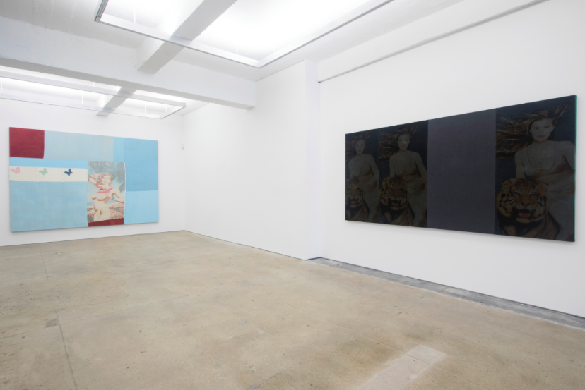Alexandre da Cunha, Amazons at CRG Gallery, photo 4