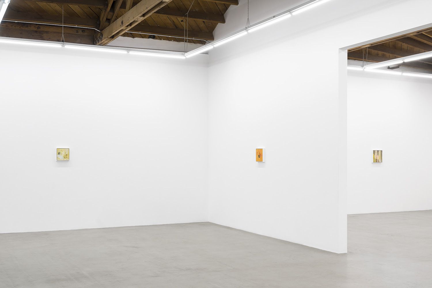Ellen Siebers, Dream Song at Parrasch Heijnen, photo 2