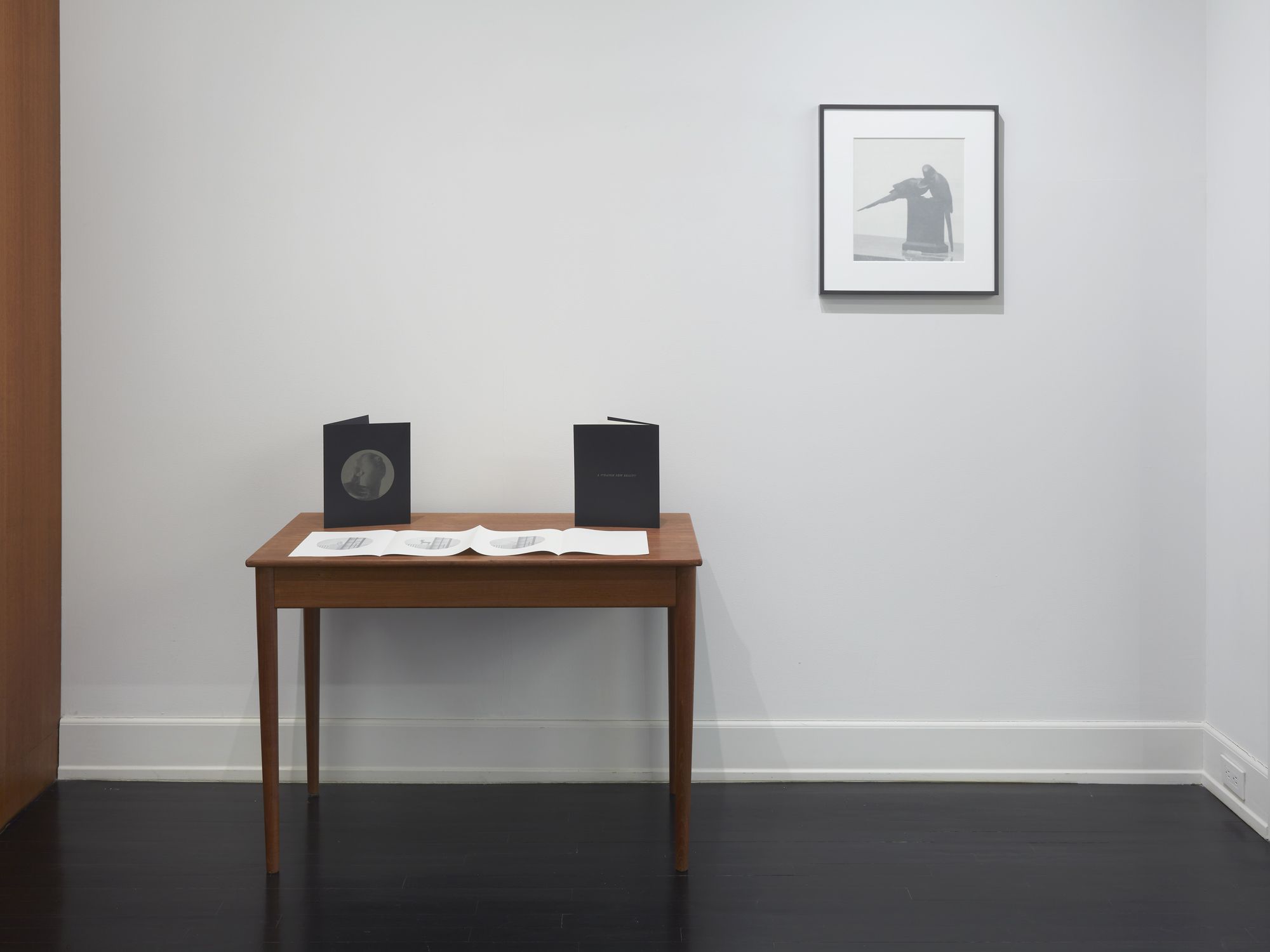 Troy Brauntuch, A Strange New Beauty at Petzel, photo 6