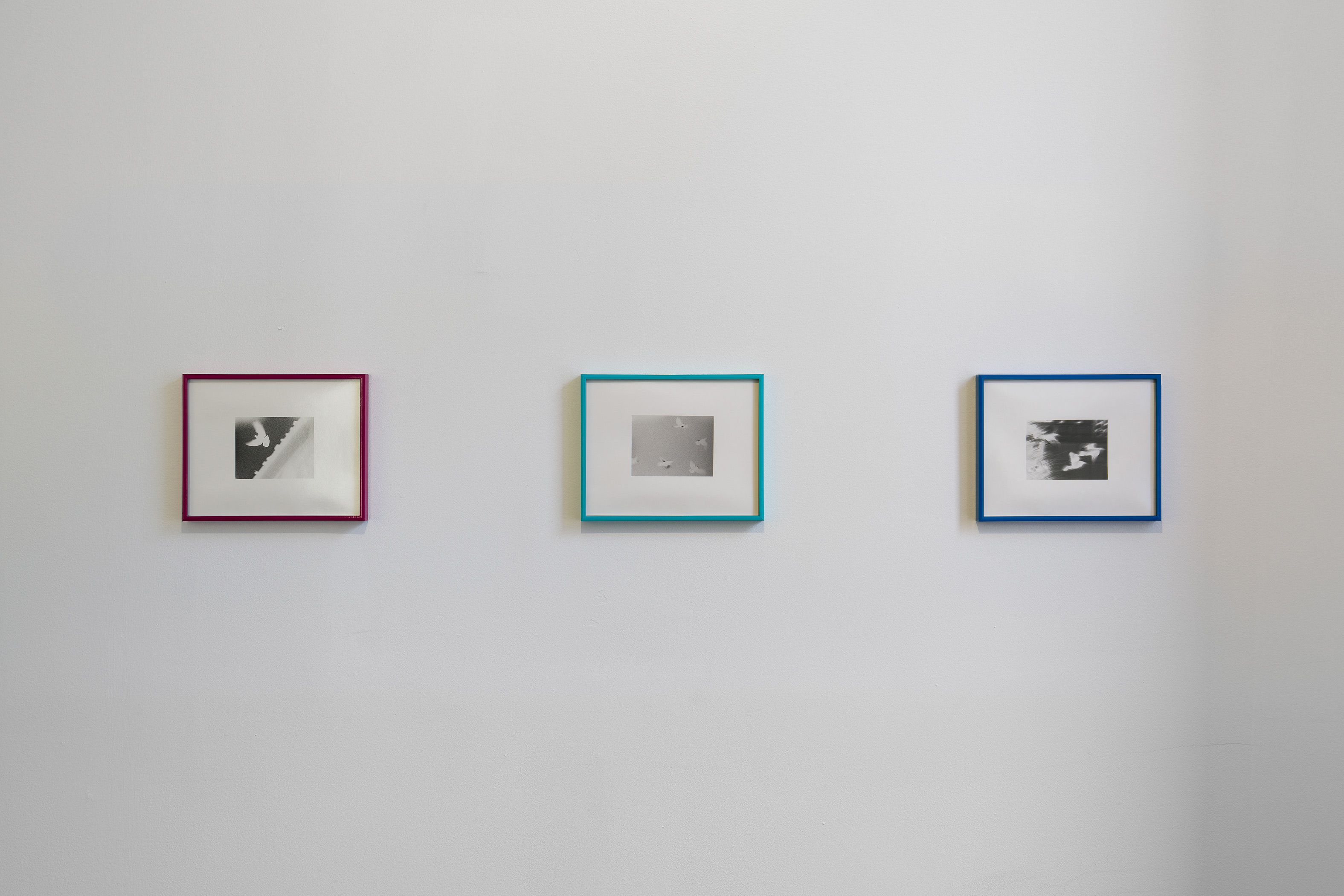 Jenna Bliss, Homing at Ulrik, photo 6
