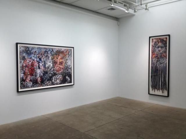 Dinh Q. Lê, Warf, Woof, Zero, One at P.P.O.W, photo 4