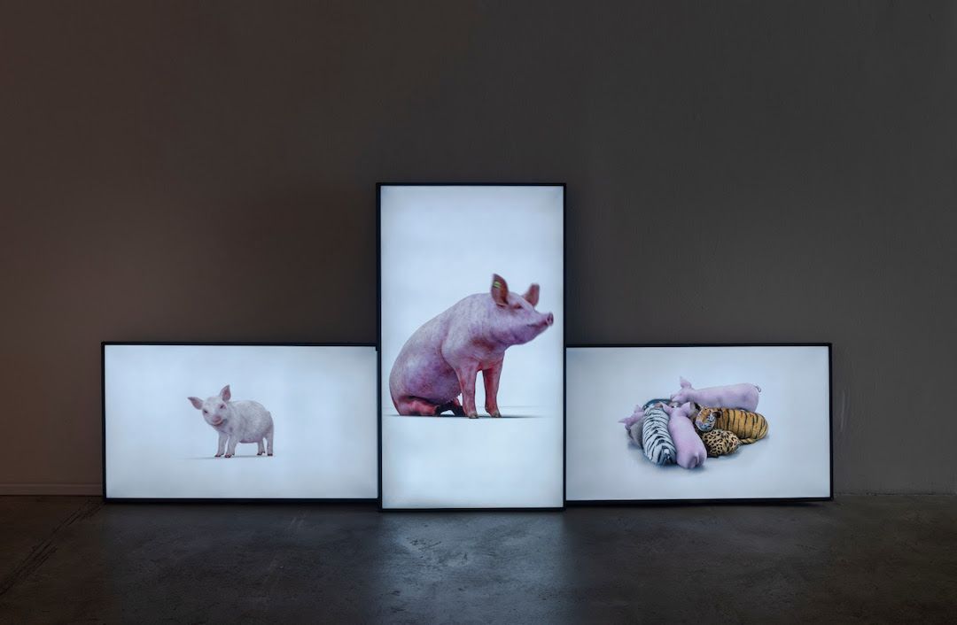 Heather Dewey-Hagborg, Hybrid: An Interspecies Opera​ at Fridman Gallery, photo 2