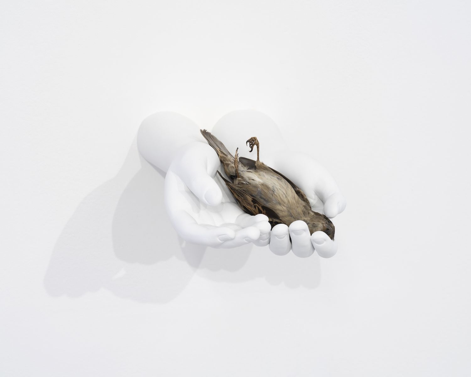 Elmgreen & Dragset, David and Other Sculptures at Perrotin, photo 5
