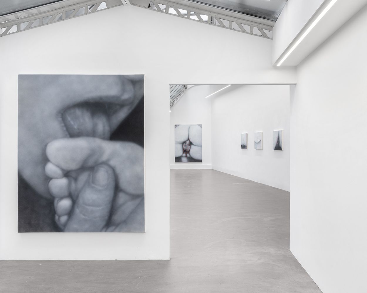 Betty Tompkins, Sex Paintings at Bremond Capela, photo 6