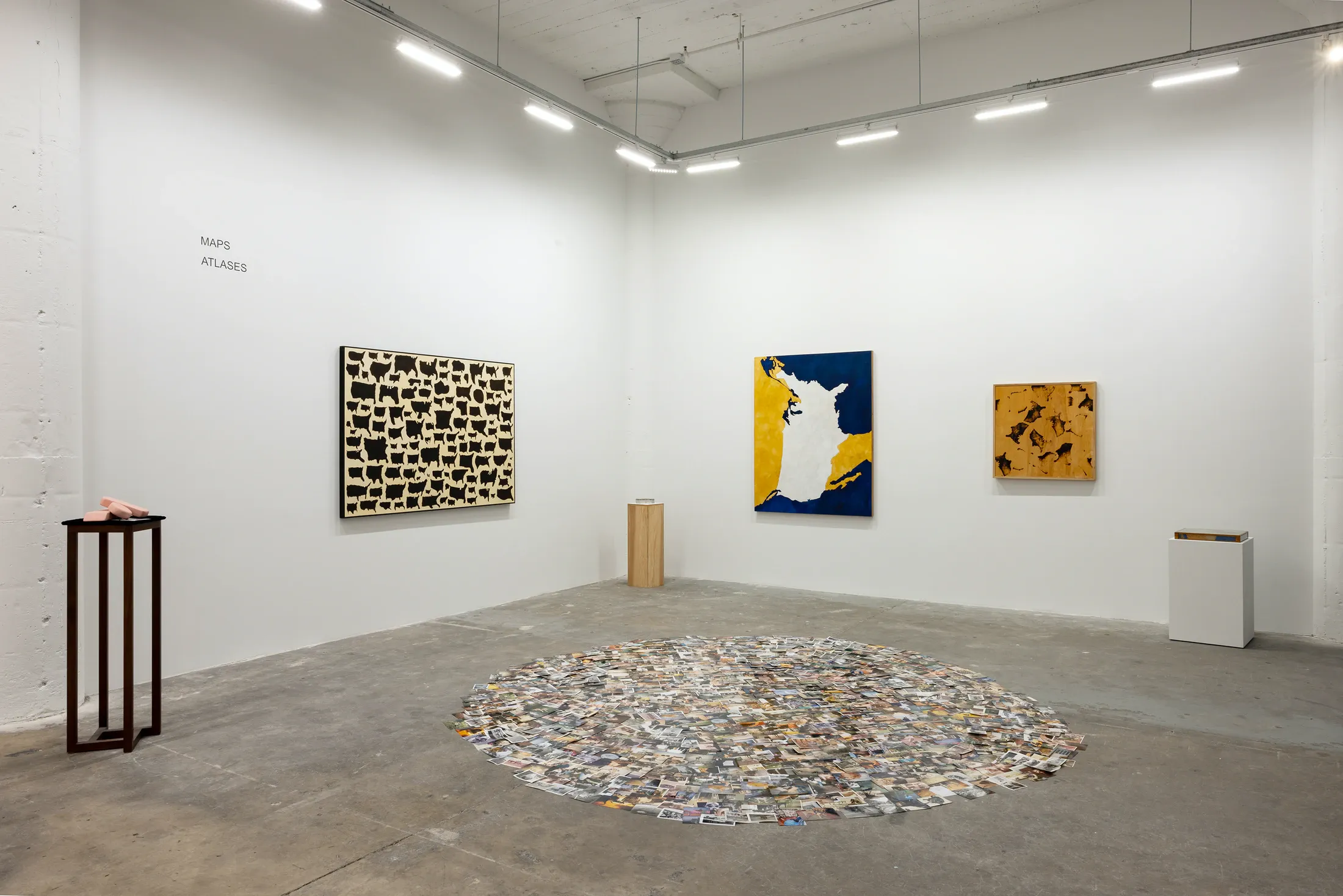 Kim Dingle, Pudgey Pomona Presents at Vielmetter, photo 8