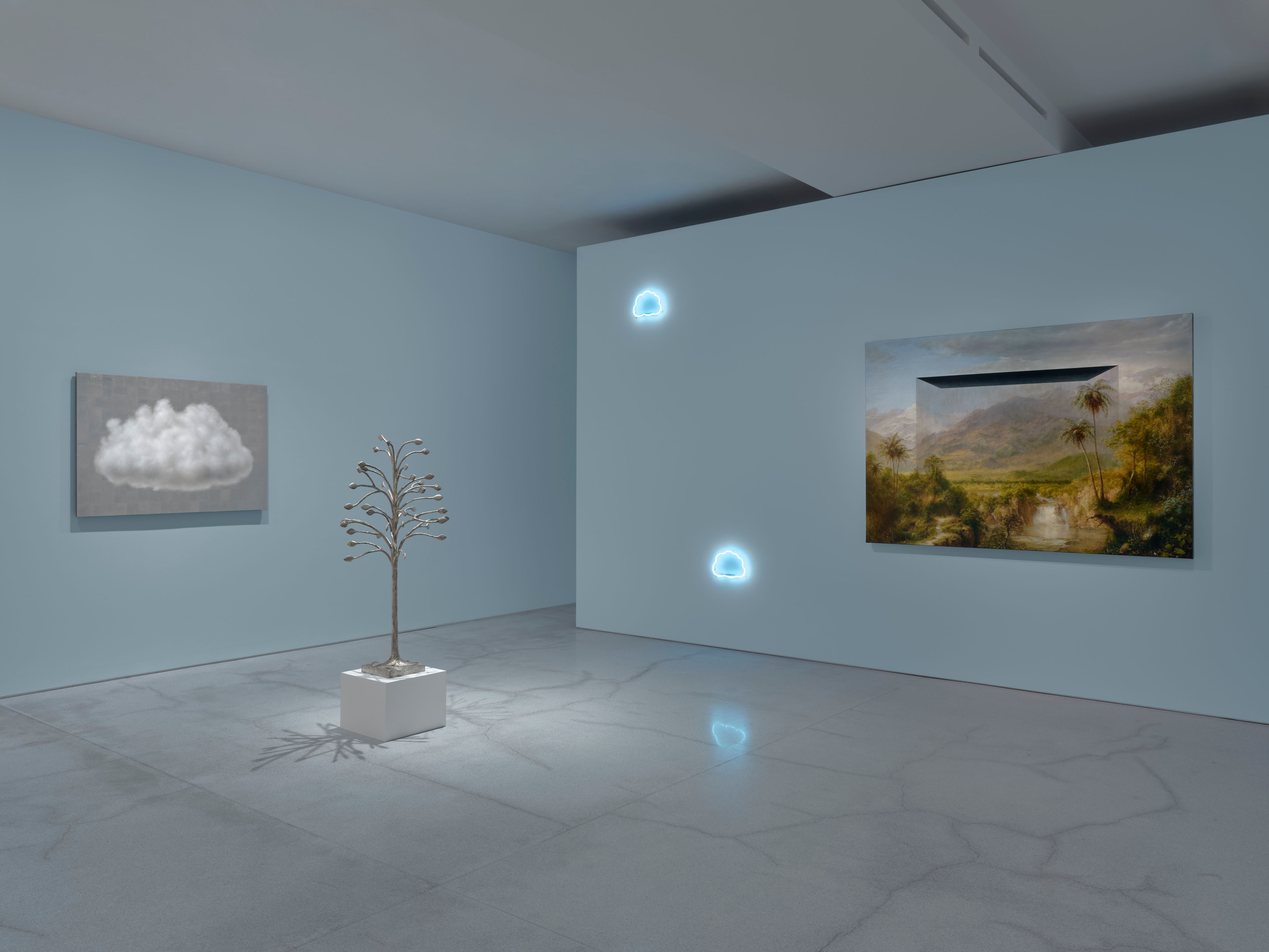 Laurent Grasso, Orchid Island at Perrotin, photo 2