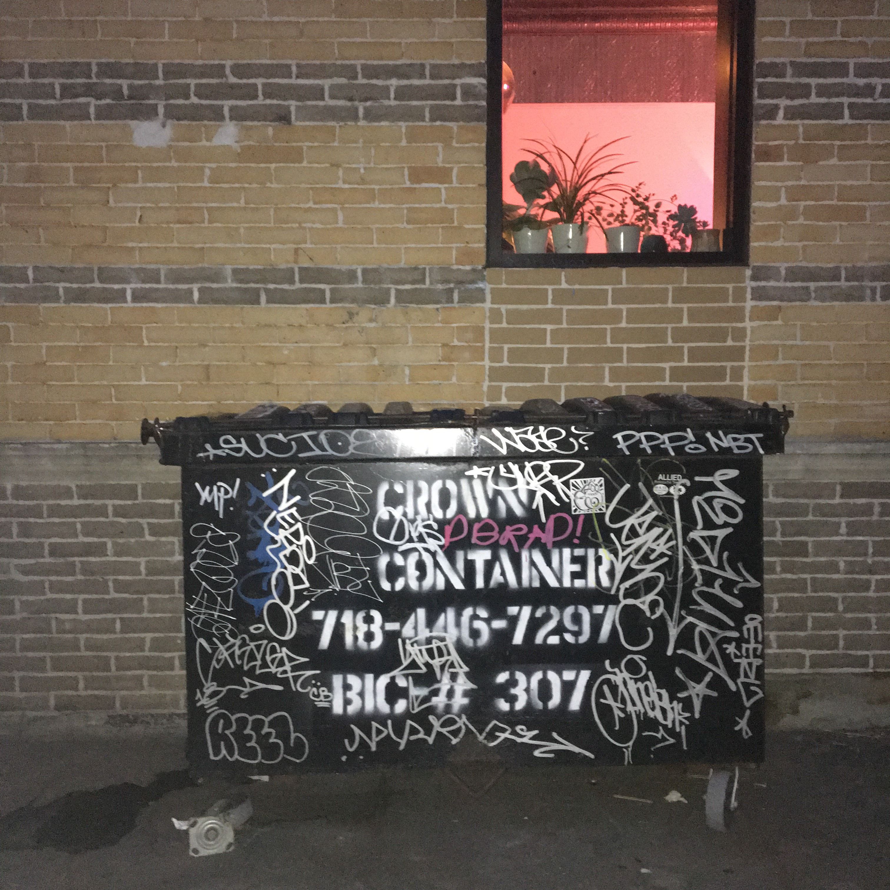 Anahid Mishek, The Big Other at Plug Dumpster, photo 2