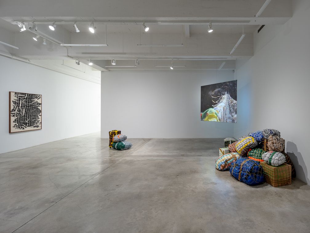 Maia Ruth Lee, The Skin of the Earth Is Seamless at Tina Kim, photo 6
