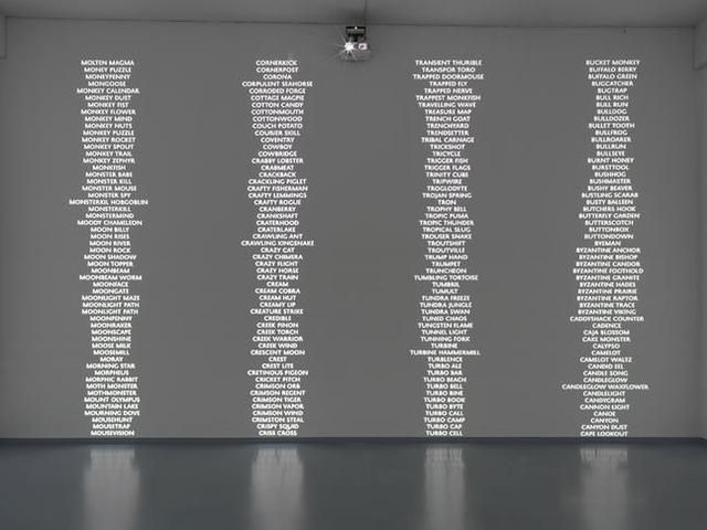 Trevor Paglen, Trevor Paglen at Metro Pictures, photo 2