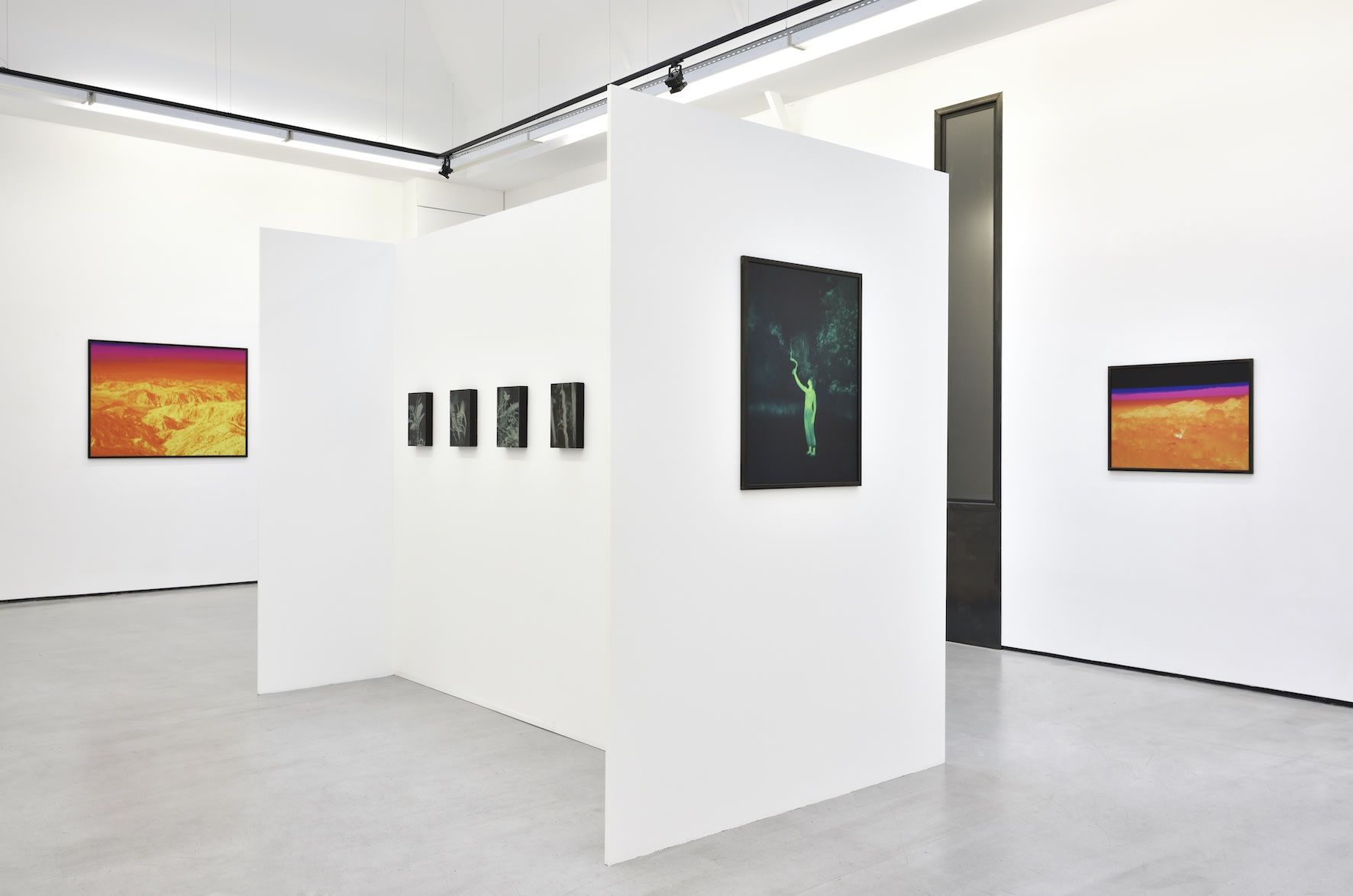 Smith, Dami at Christophe Gaillard, photo 7