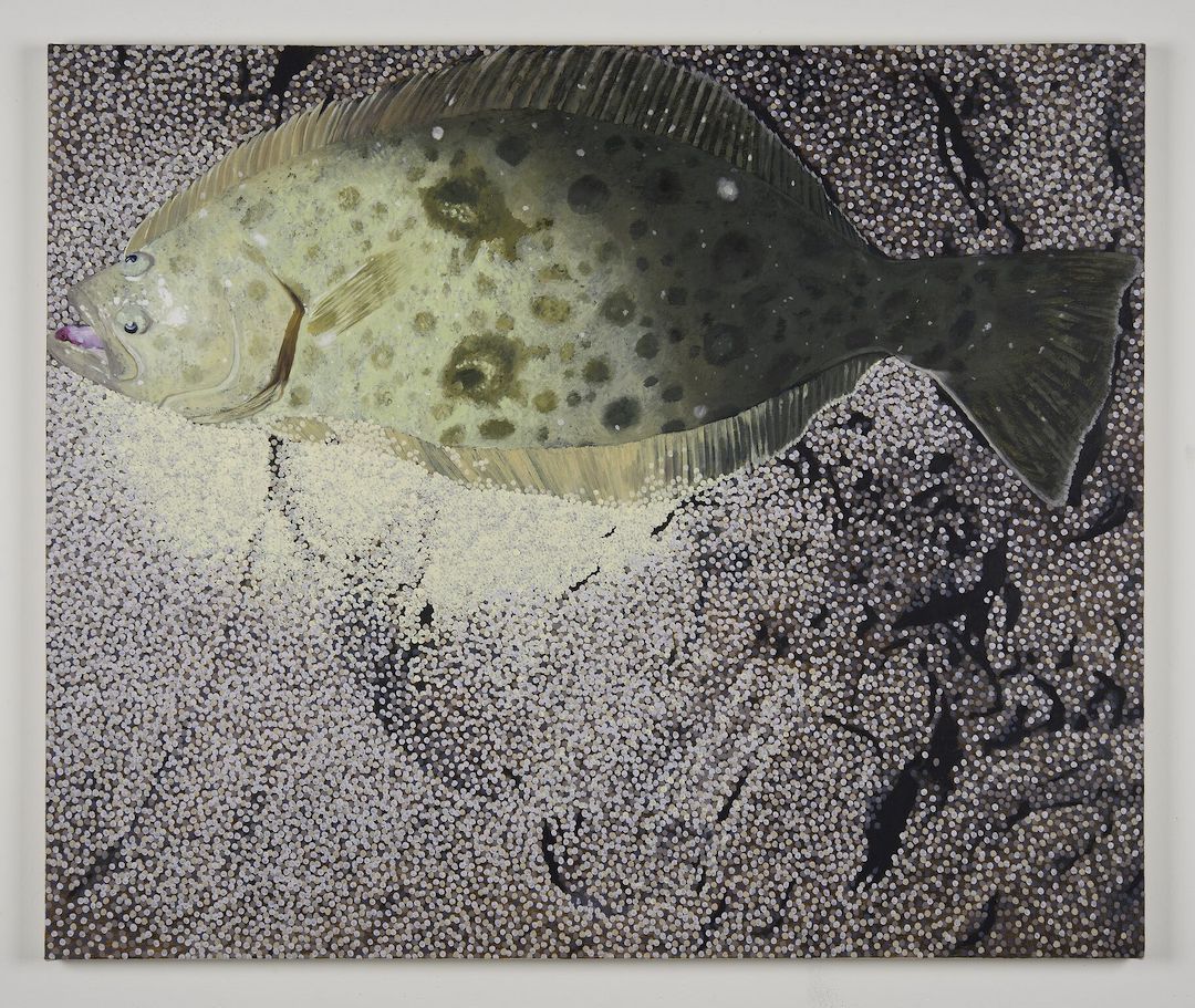 Adam Higgins, Flatfish at Hunter Shaw Fine Art, photo 10