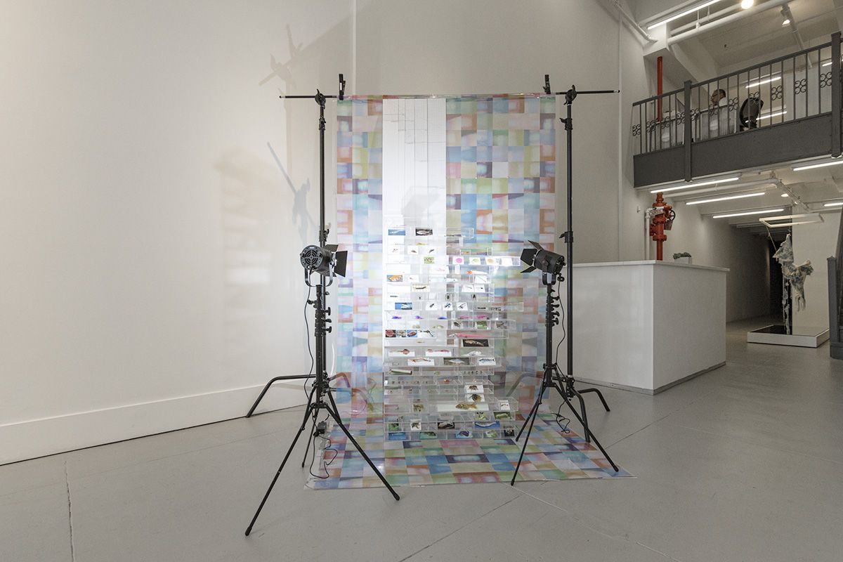 B-words: Rhode Island School of Design 2021 MFA Photography Show, B-words: Rhode Island School of Design 2021 MFA Photography Show at ClampArt, photo 3