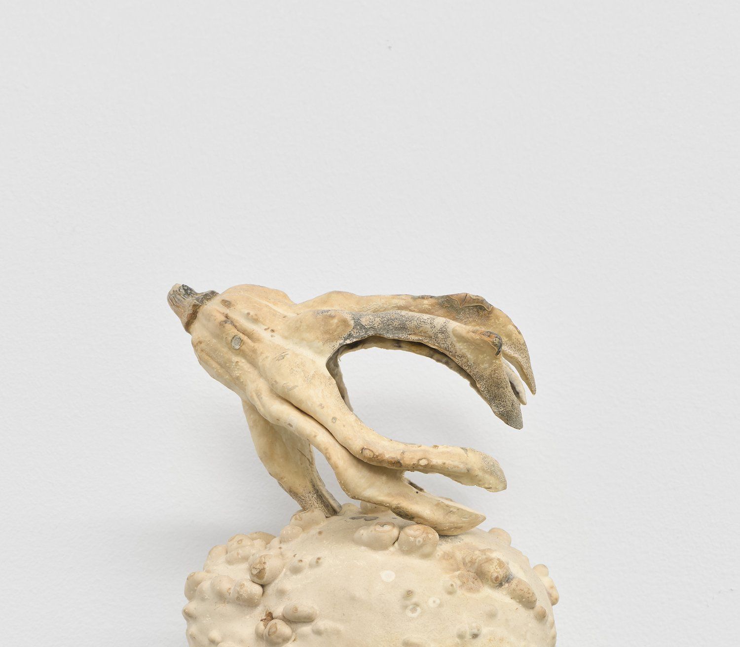 Eponymous, Eponymous at M 2 3, photo 2