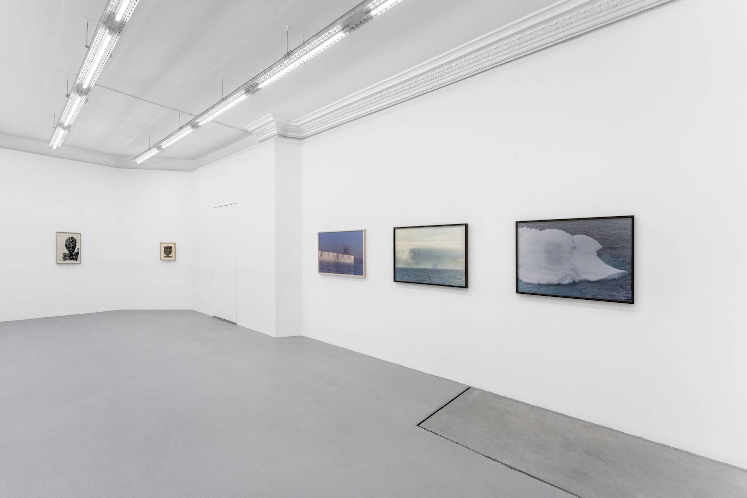 Dan Asher, Nature at Pact, photo 5