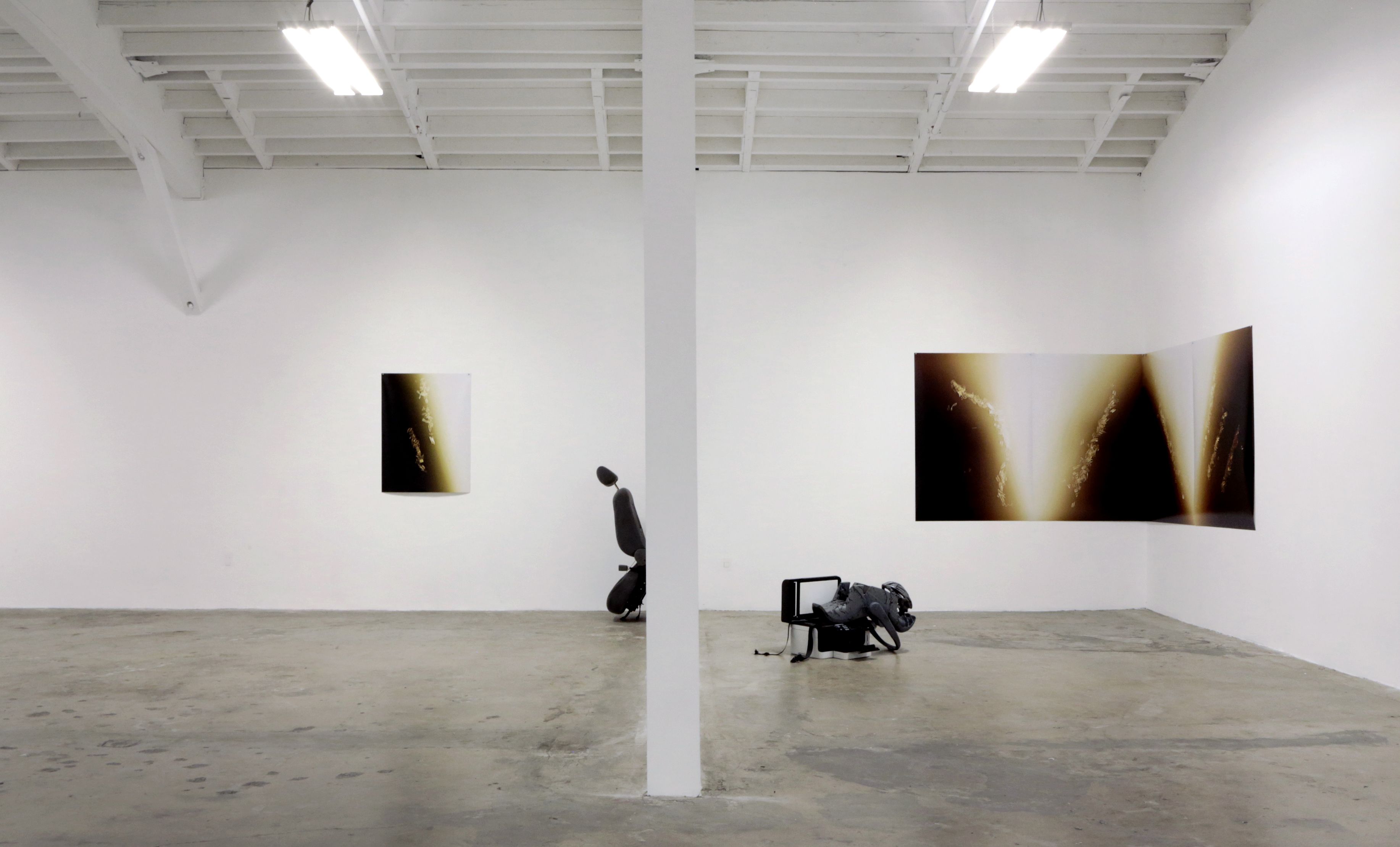 Tatiana Echeverri Fernandez, Bones and Bloodlines to Space at Museum as Retail Space, photo 6