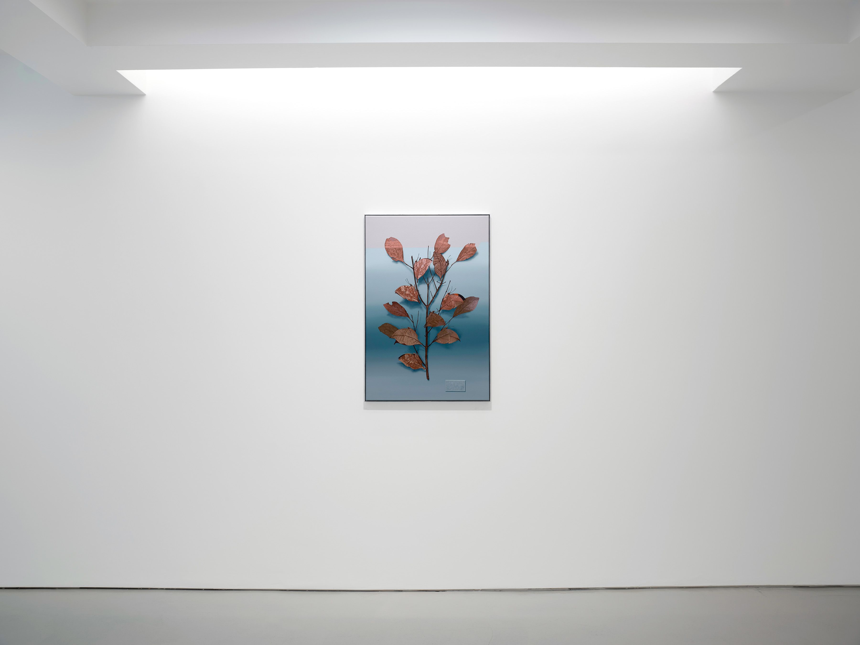 Alex Dordoy, Answering Machine at Grimm, photo 4