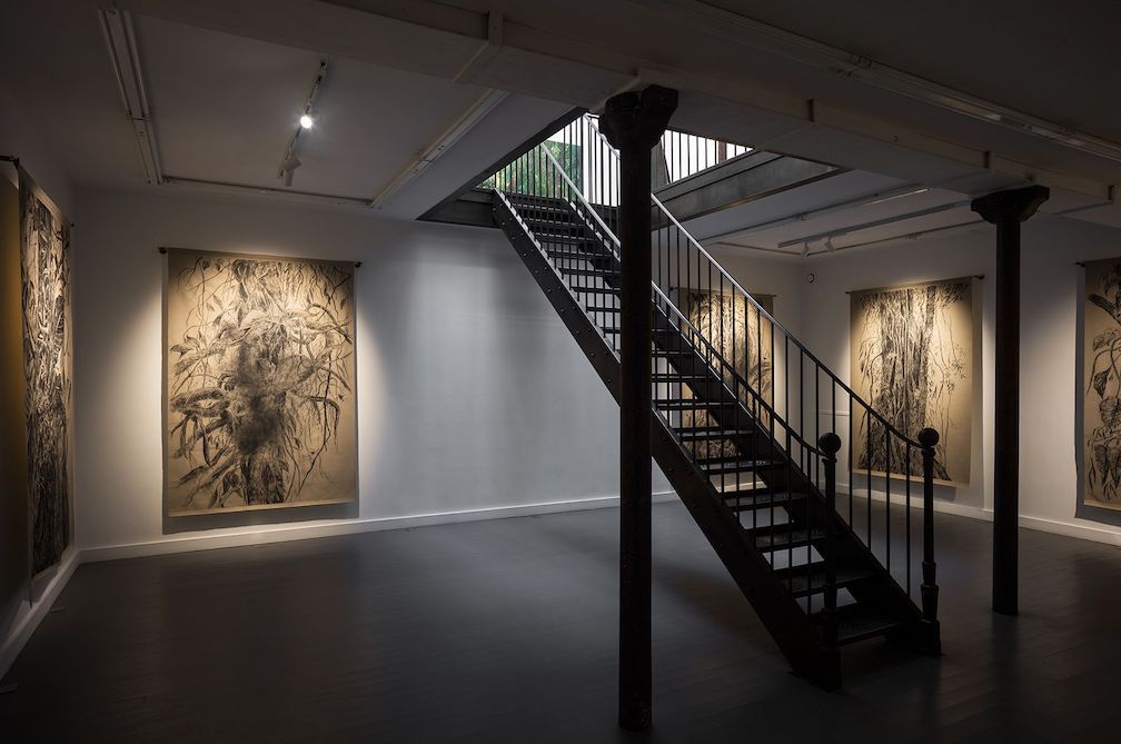 Nohemí Perez, image 6 of 9
