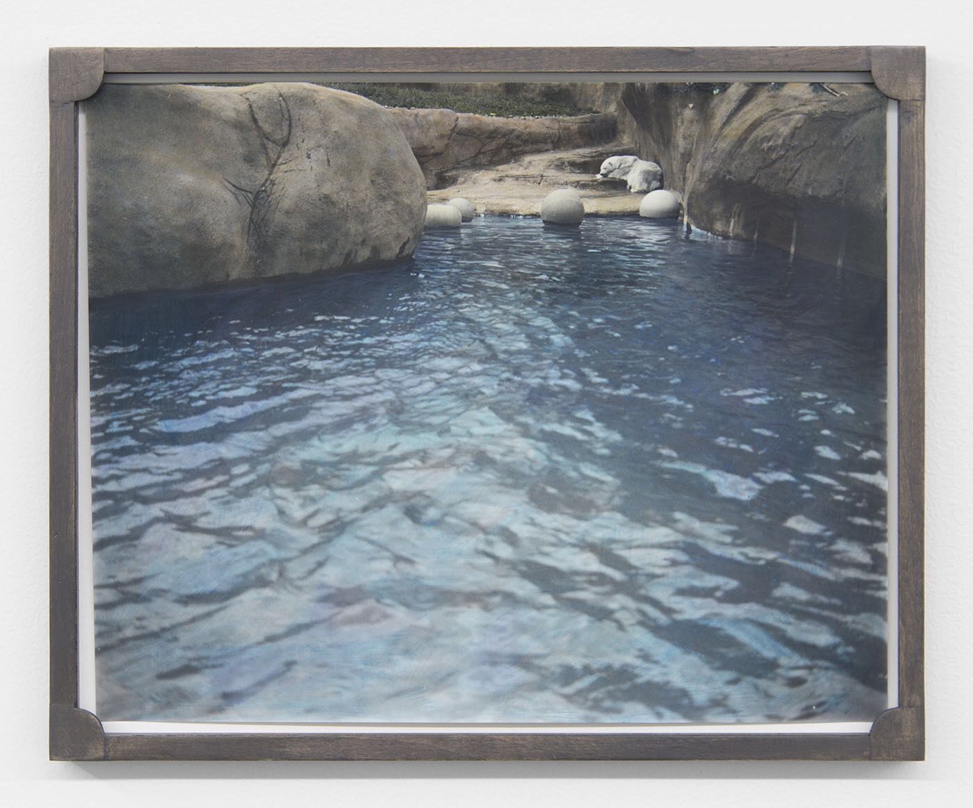 Em Rooney, The Word For Forest at Bodega, photo 5
