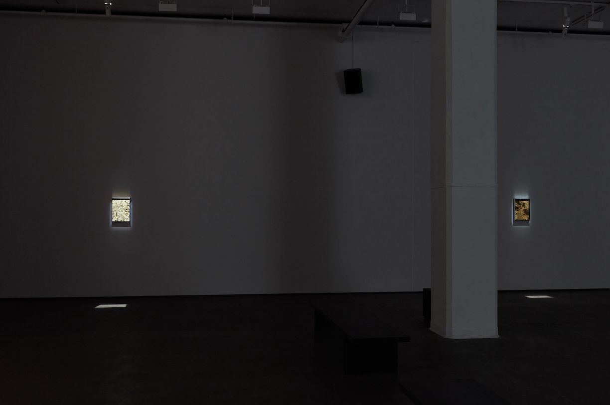 Installation view 7