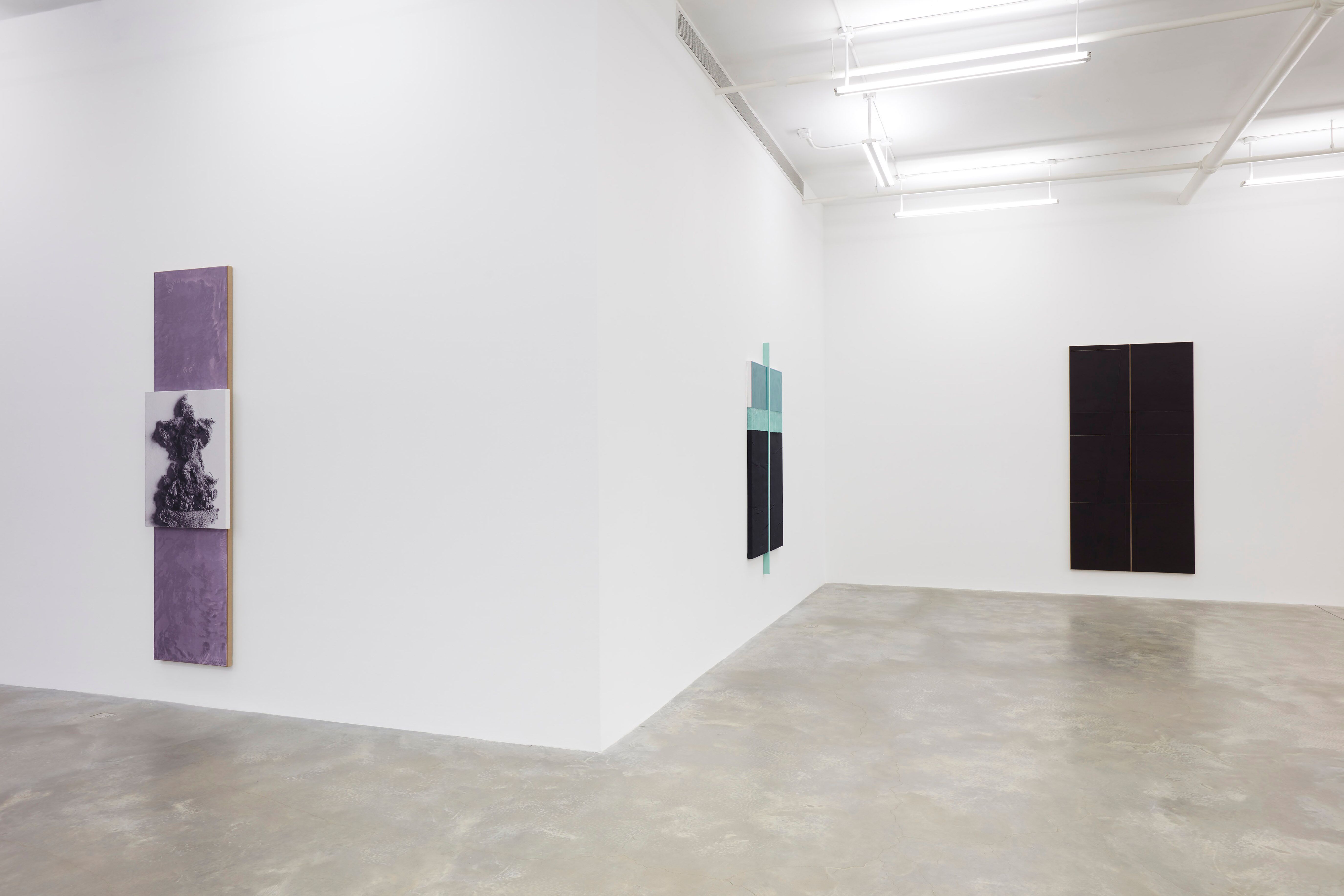N. Dash, N. Dash at Casey Kaplan, photo 9