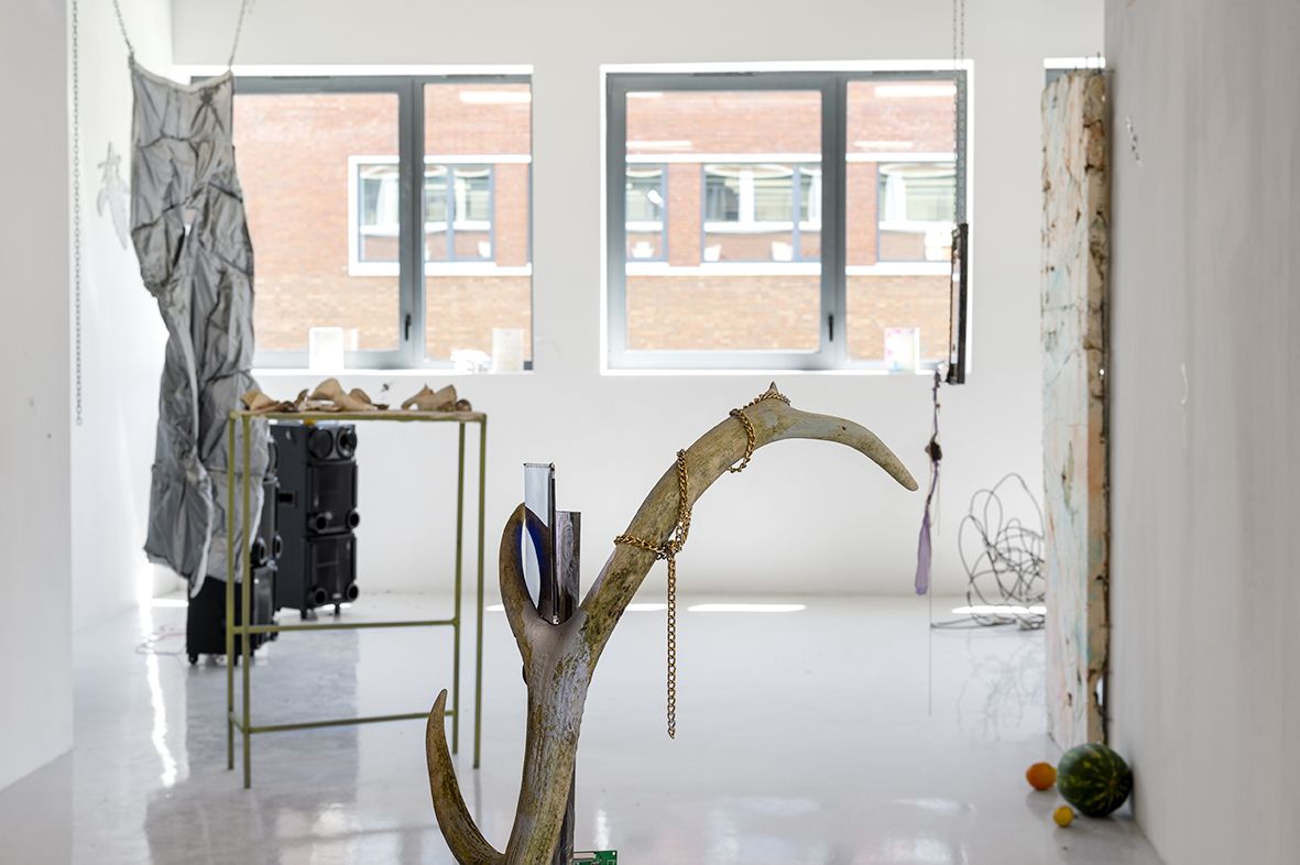 Gaëlle Choisne, Mondes Subtiles at Air de Paris, photo 8