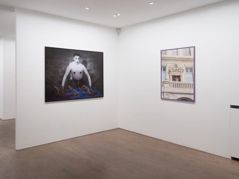 Sean Fader, With Wit We Rise: The Fabulous Rebellion of the F.A.G. at Brigitte Mulholland, photo 2