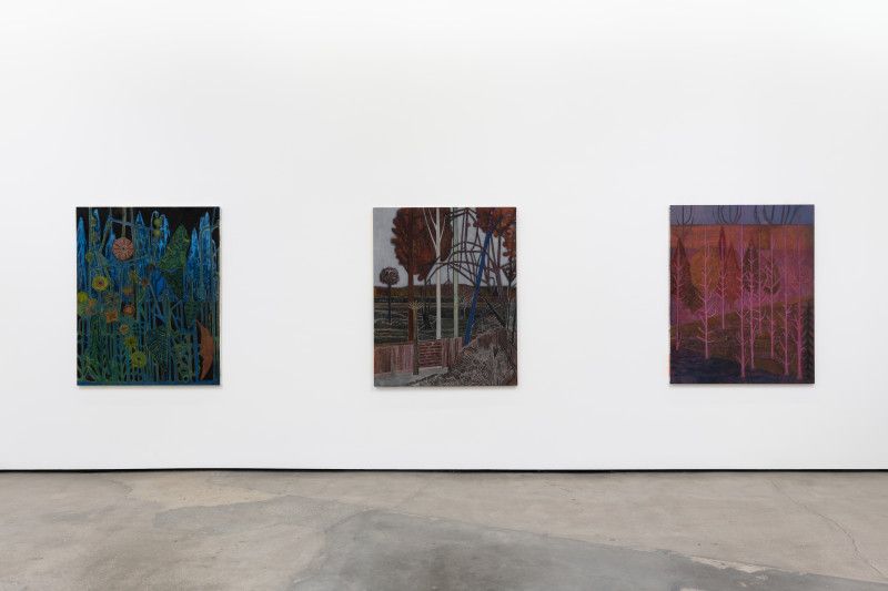 Sky Glabush, Weight of Light at Philip Martin Gallery, photo 3