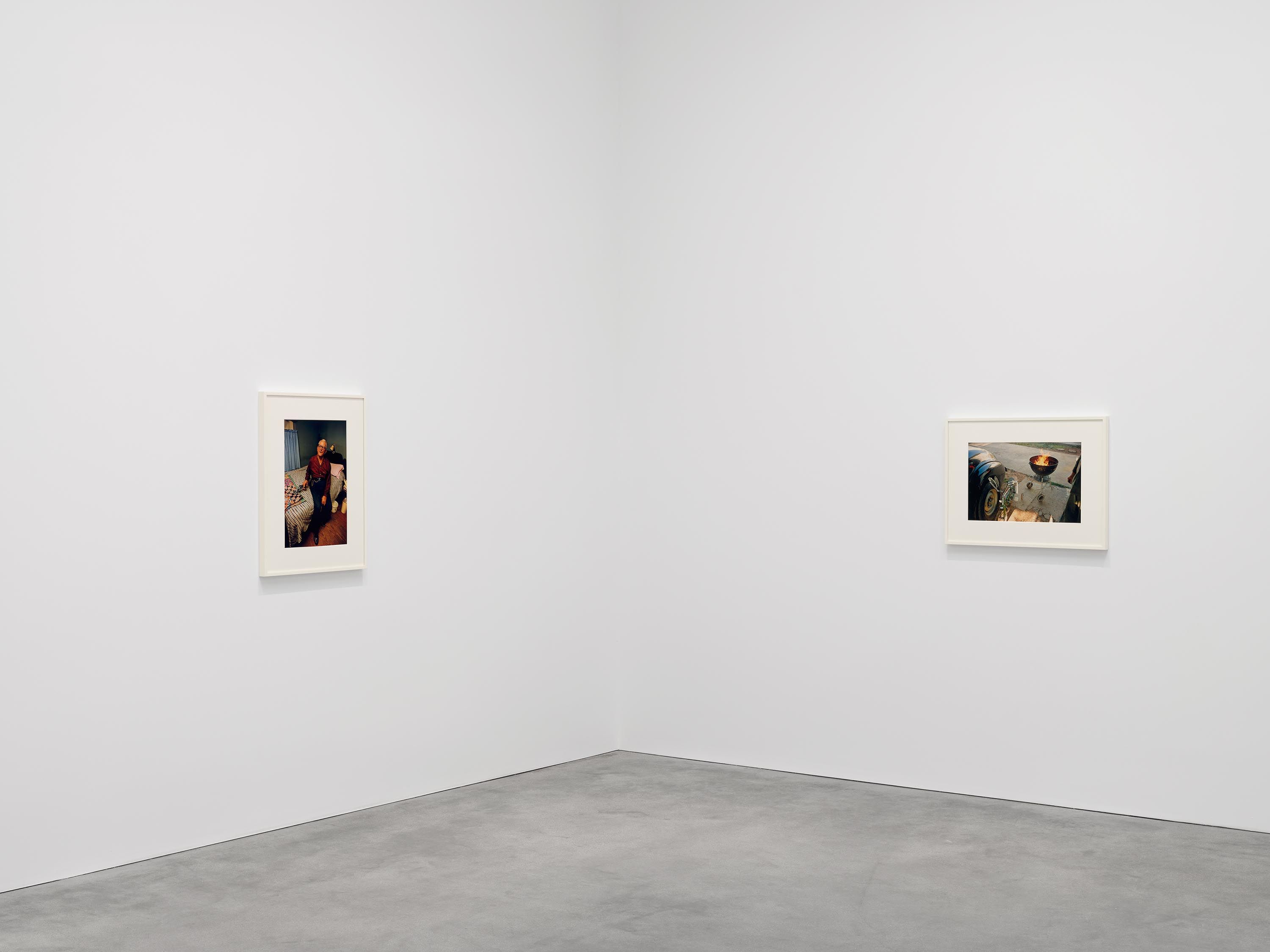 William Eggleston, The Last Dyes at David Zwirner, photo 9
