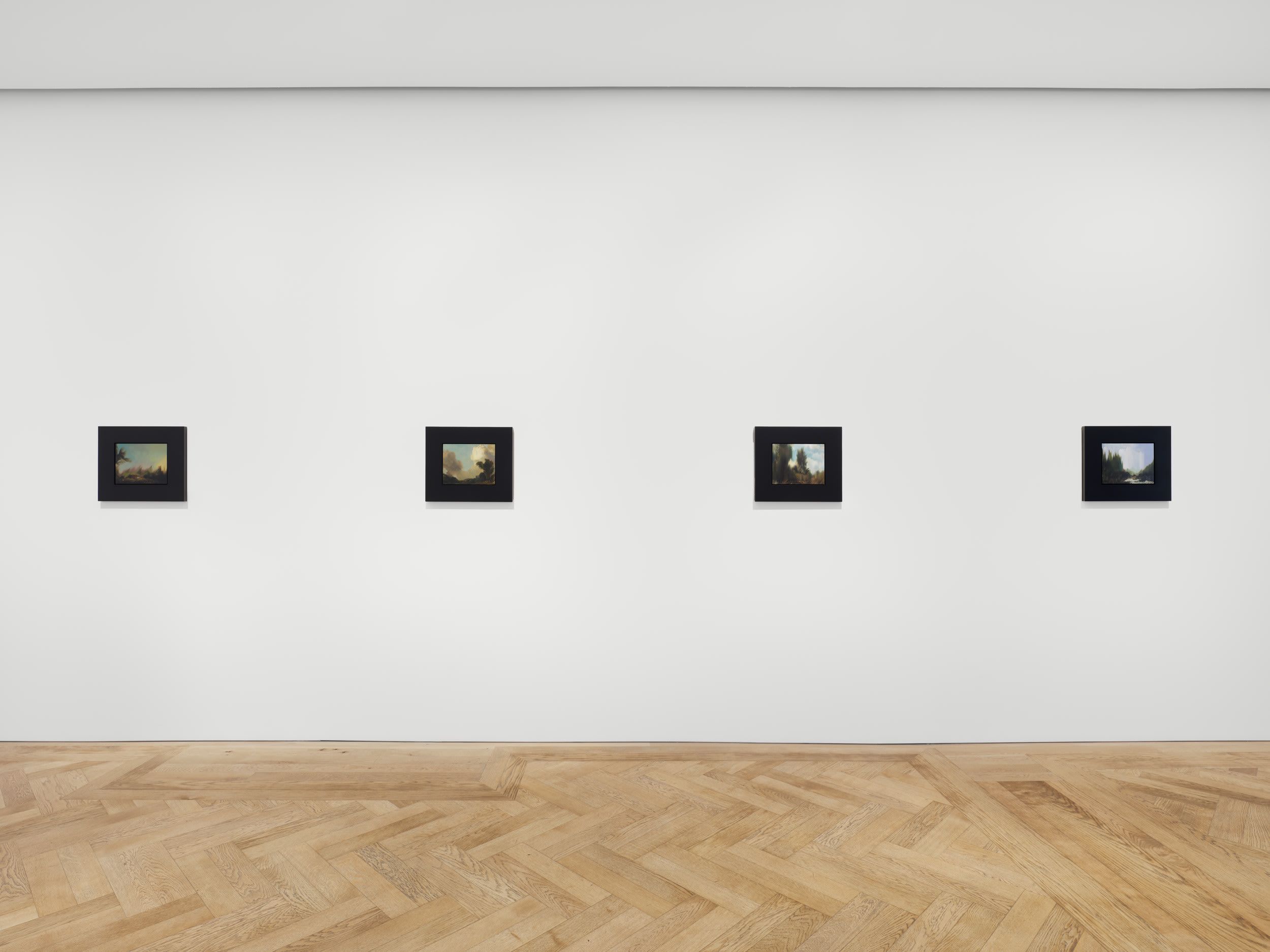 Rachel Rose, Slips at Pilar Corrias, photo 4