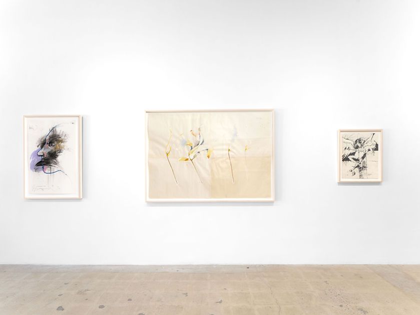 Rick Bartow, Renewal and Regrowth at Timothy Hawkinson, photo 2