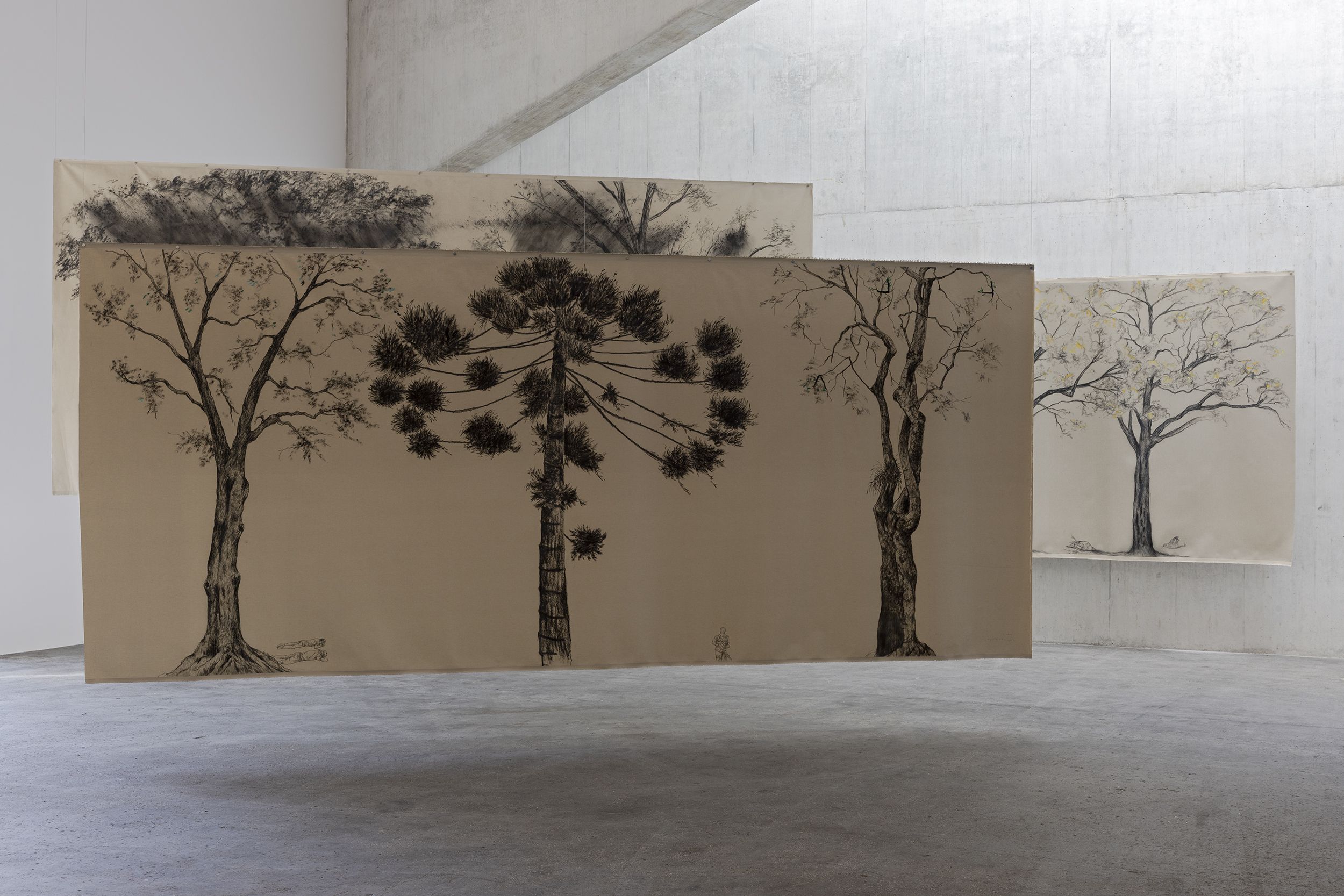 Whispers From Tides and Forests, Whispers From Tides and Forests at Kunsthaus Baselland, photo 2