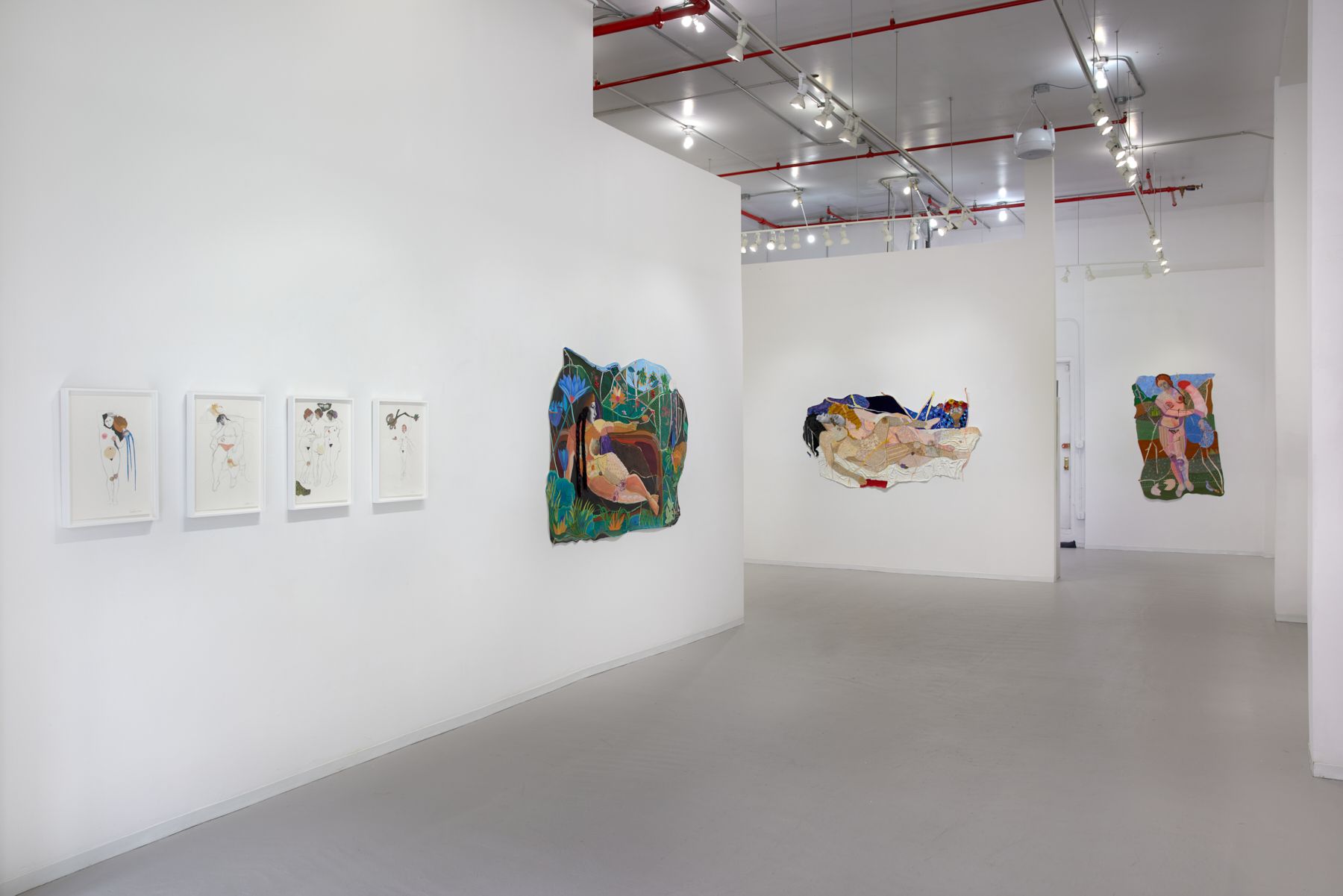 Dee Shapiro, Dee Shapiro at David Richard Gallery, photo 7
