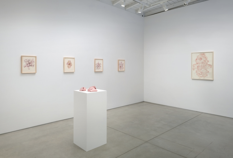 Hannah Wilke, Flowers 1973 - 1991 at Marc Selwyn Fine Art, photo 2