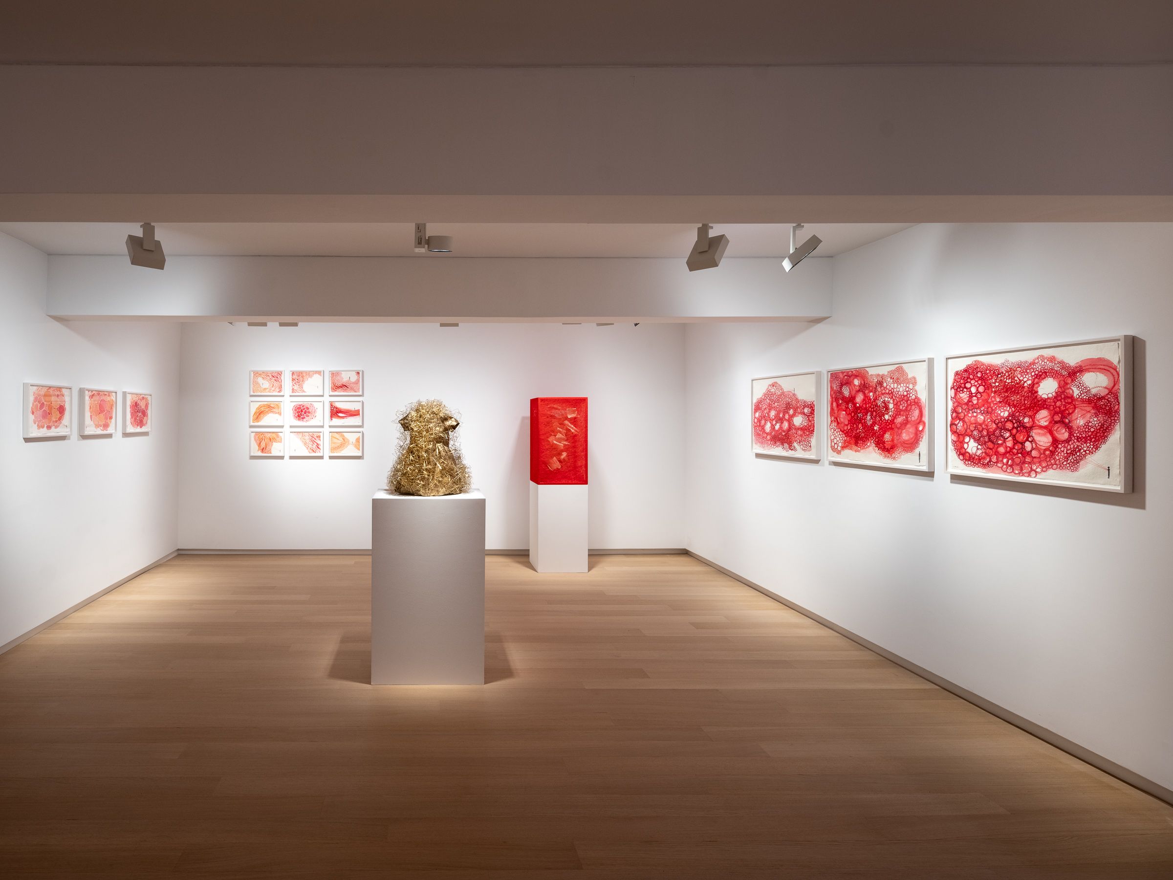 Chiharu Shiota, Signs of Life at Templon, photo 7