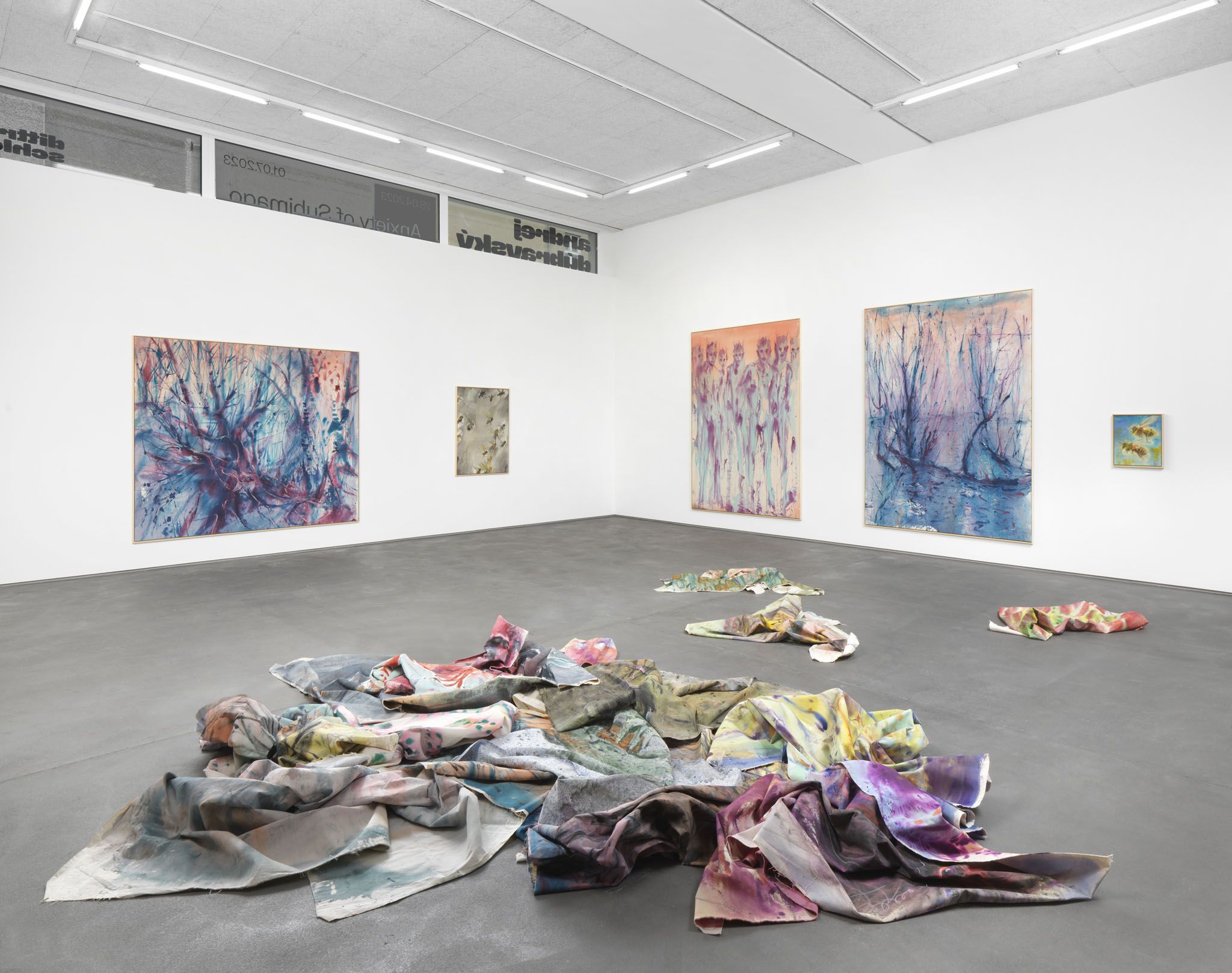 Andrej Dúbravský, Anxiety of Subimago at Dittrich & Schlechtriem, photo 6