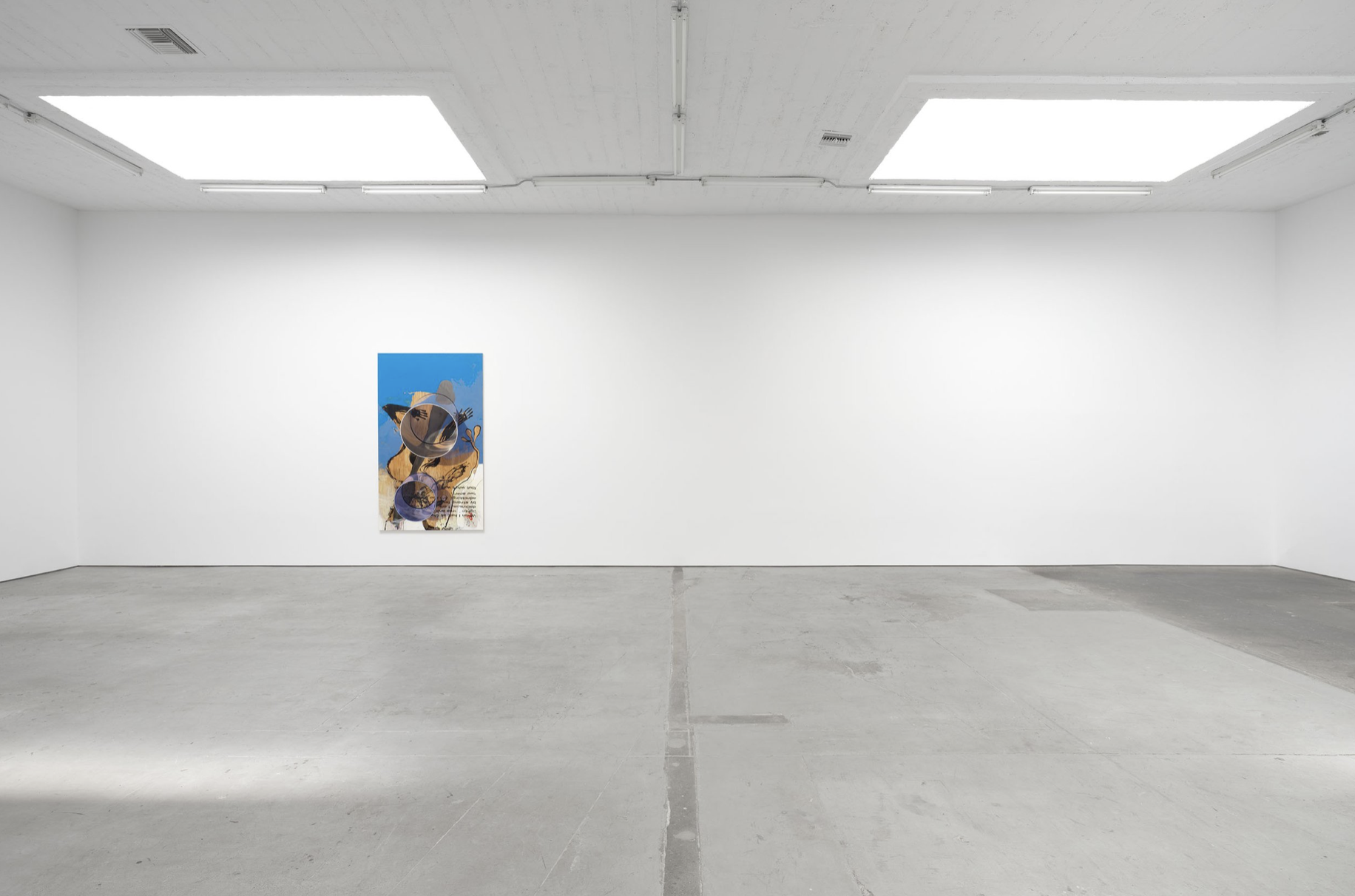 Seth Price, I Don't Miss My Mind at Gaga & Reena Spaulings, photo 5