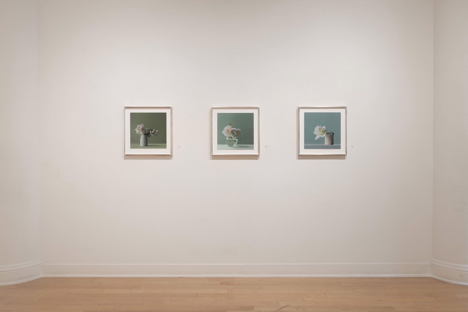 Megan Seiter, Bloom at Dolby Chadwick, photo 2