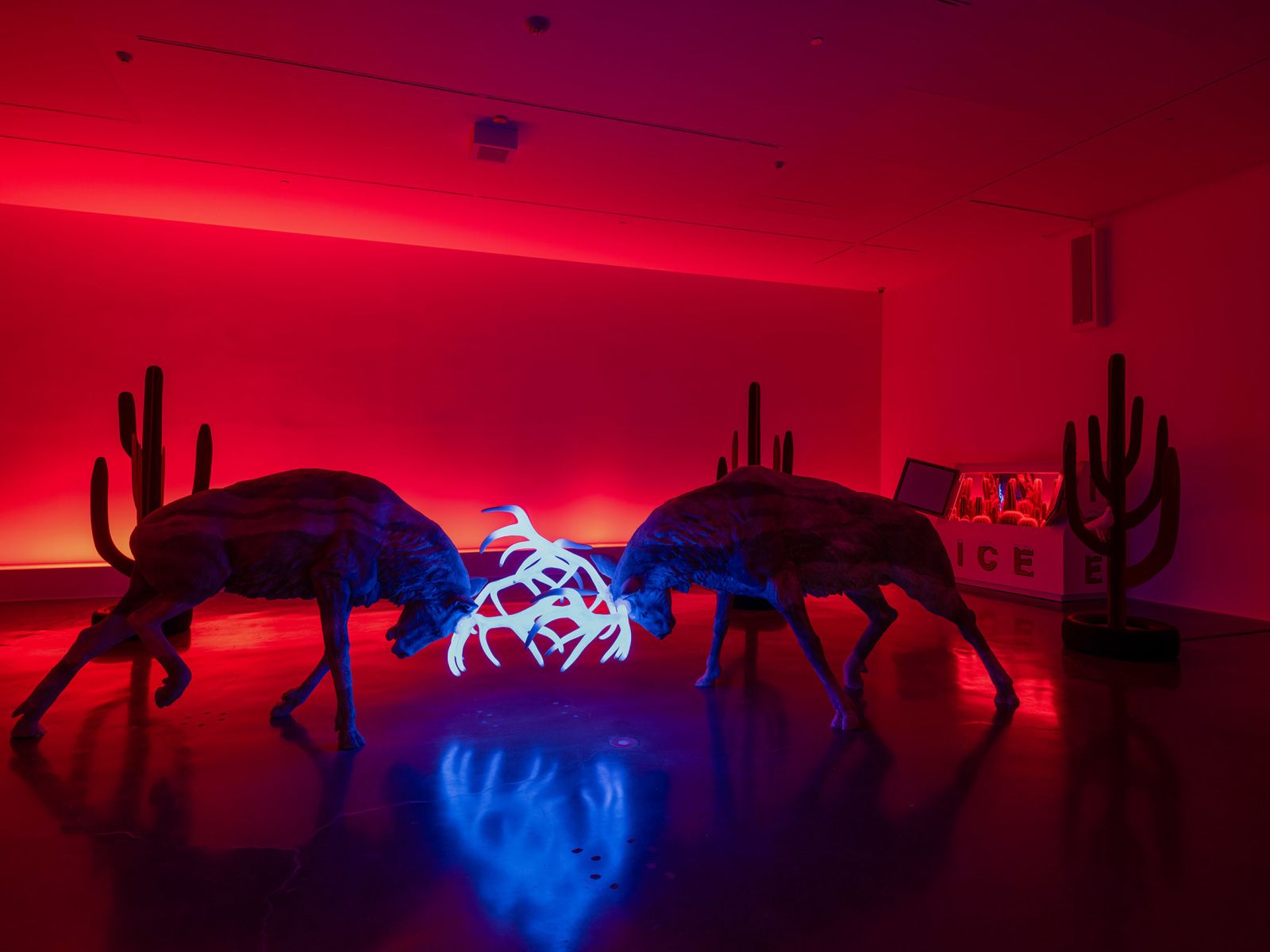 Doug Aitken, Psychic Debris Field at Regen Projects, photo 4