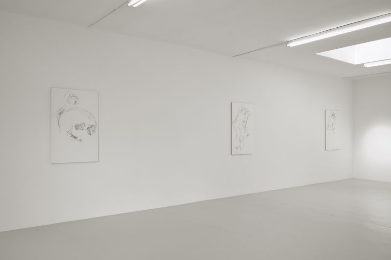 Cheyney Thompson, Toolpaths for Bellona at Campoli Presti, photo 2