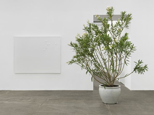 Thilo Heinzmann, Thilo Heinzmann at Bortolami, photo 6