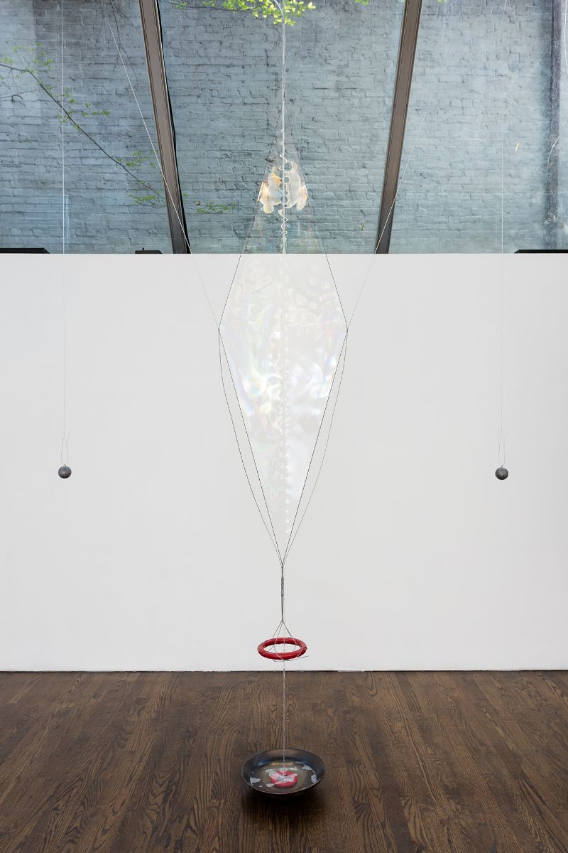 Tauba Auerbach, image 2 of 2