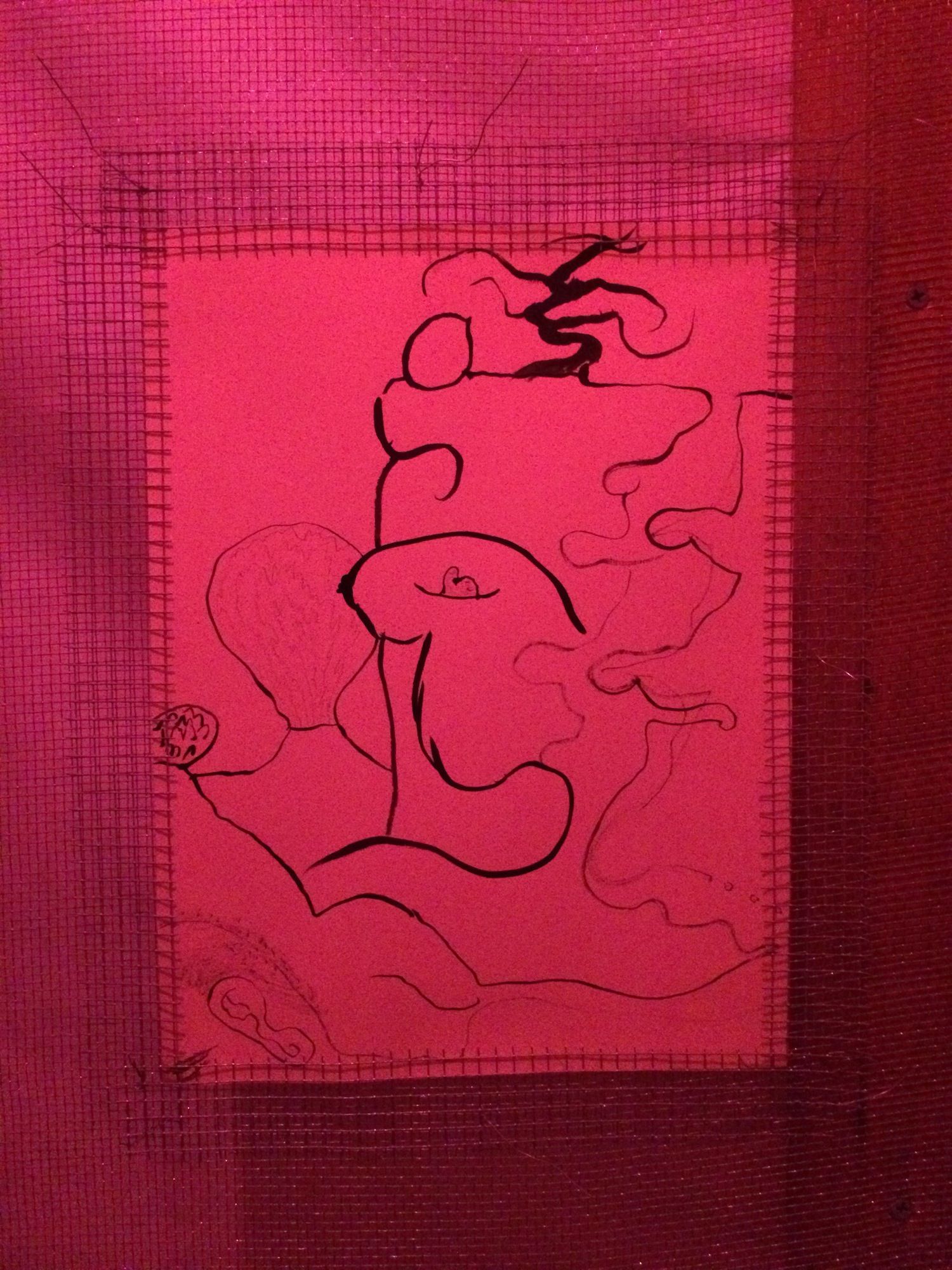 Hanna Hur & Michael Kennedy Costa, Trapdoor at 67 Steps, photo 12
