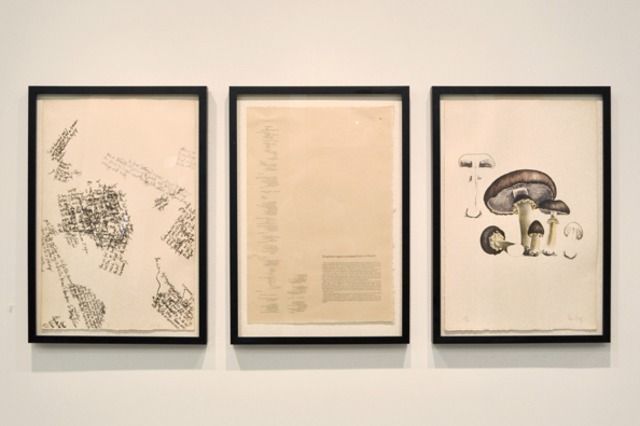 John Cage, Artist and Naturalist at The Horticultural Society, photo 2