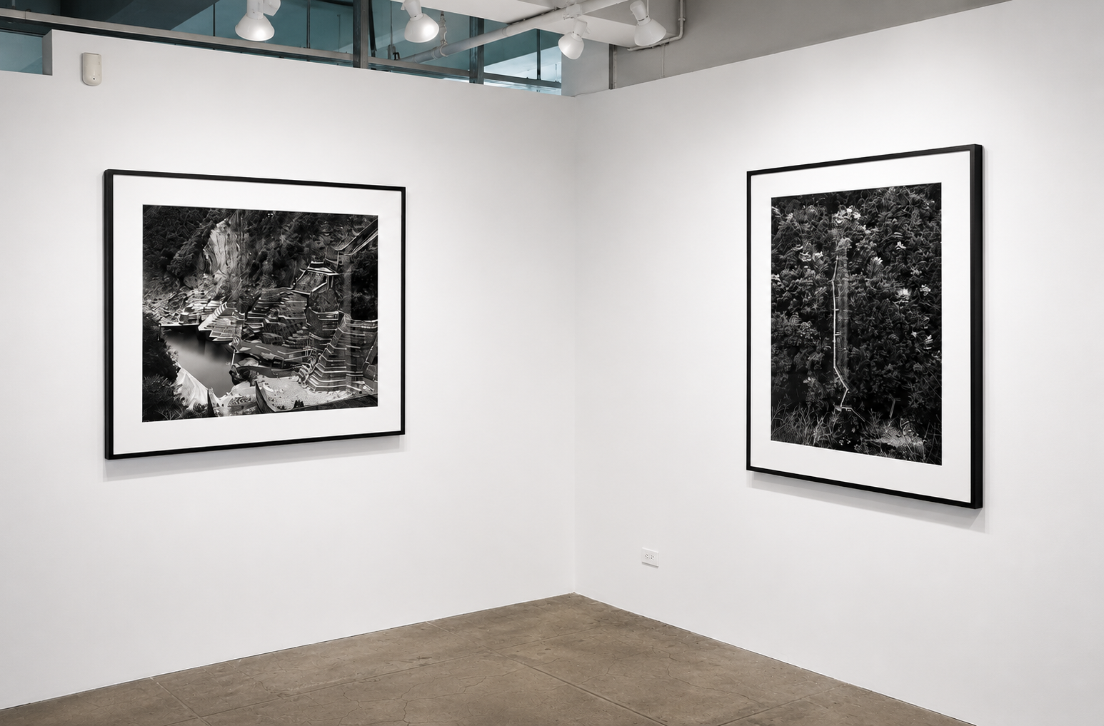 Toshio Shibata, image 2 of 6