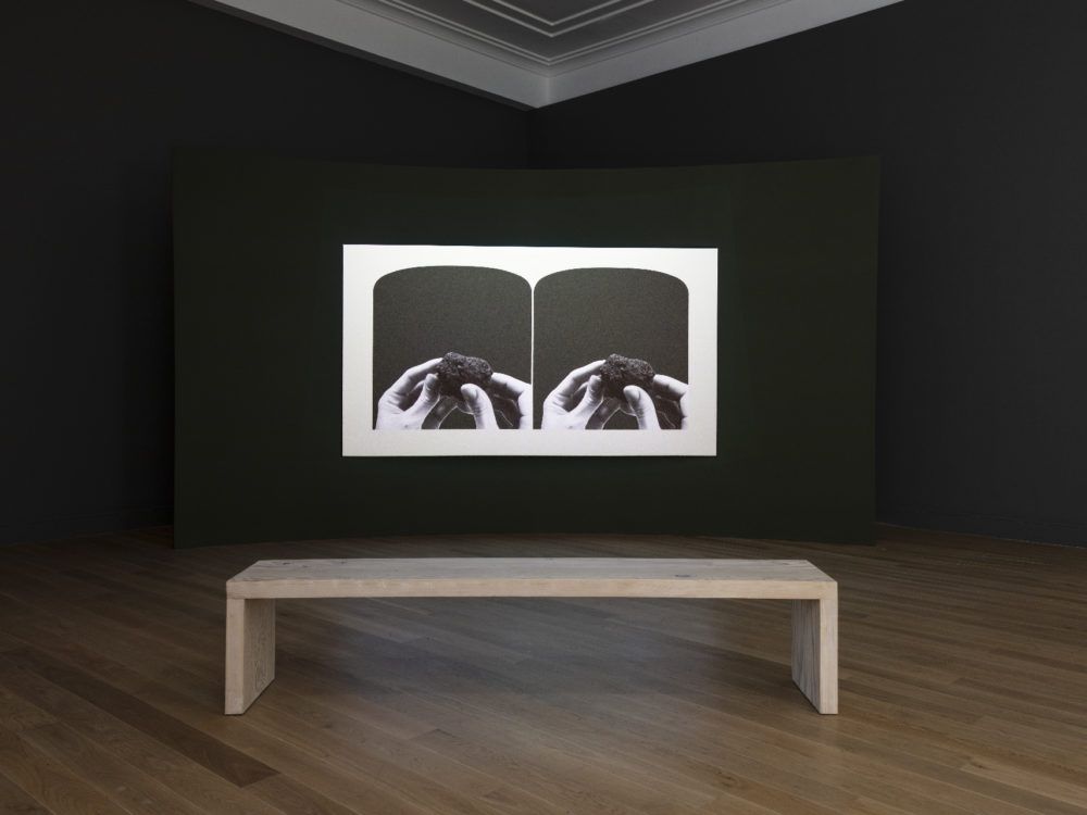Jamilah Sabur, The Harvesters at Bass Museum of Art, photo 5
