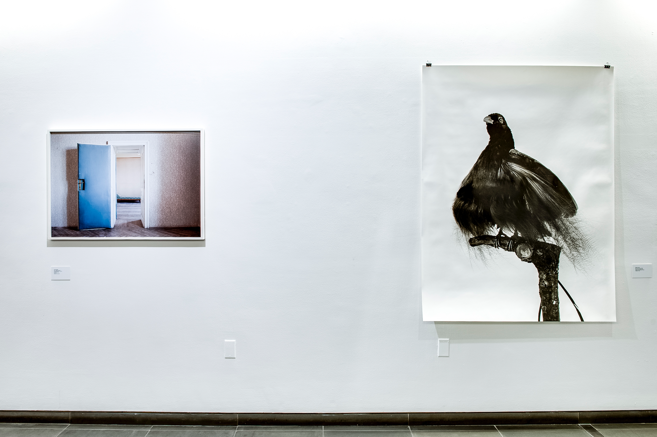Yvonne Oswald & Tatiana Lecomte, Void at Austrian Cultural Forum, photo 3