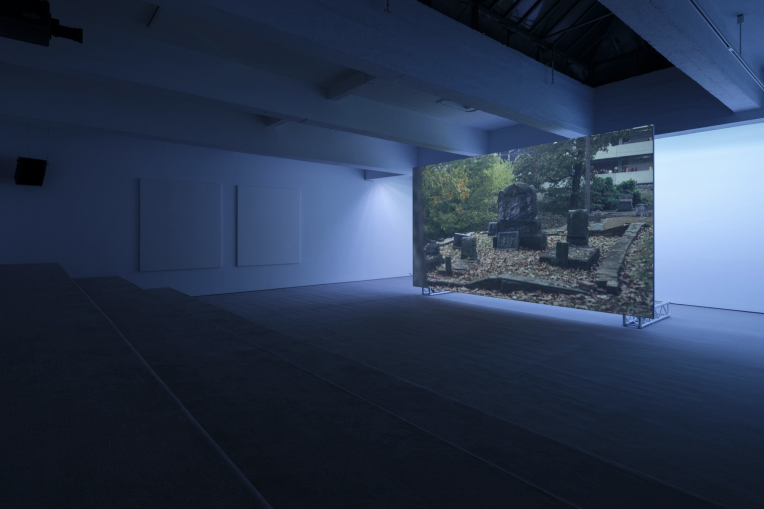 Paul Pfeiffer, Red Green Blue at Paula Cooper, photo 5