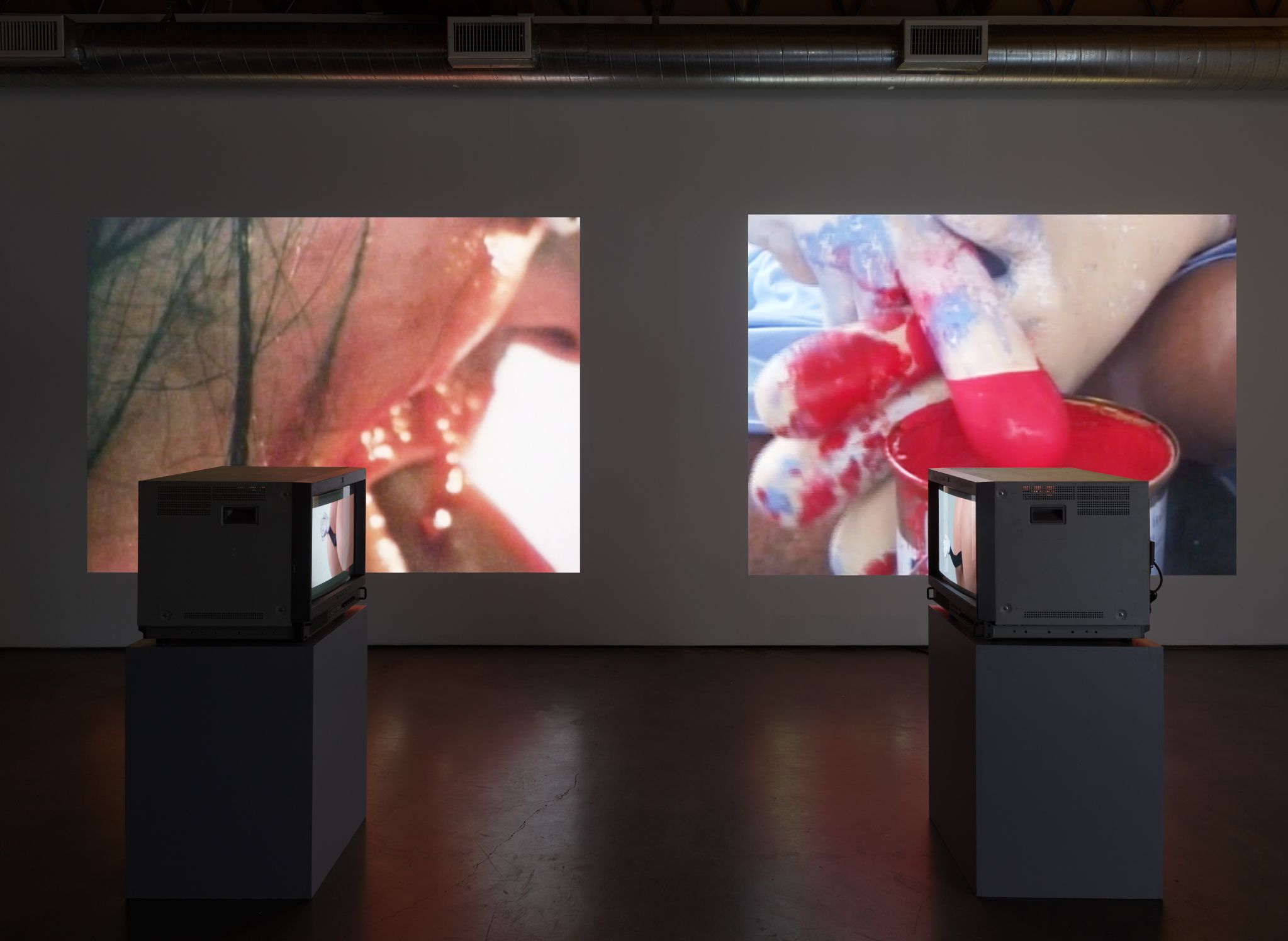 Sturtevant, image 5 of 5