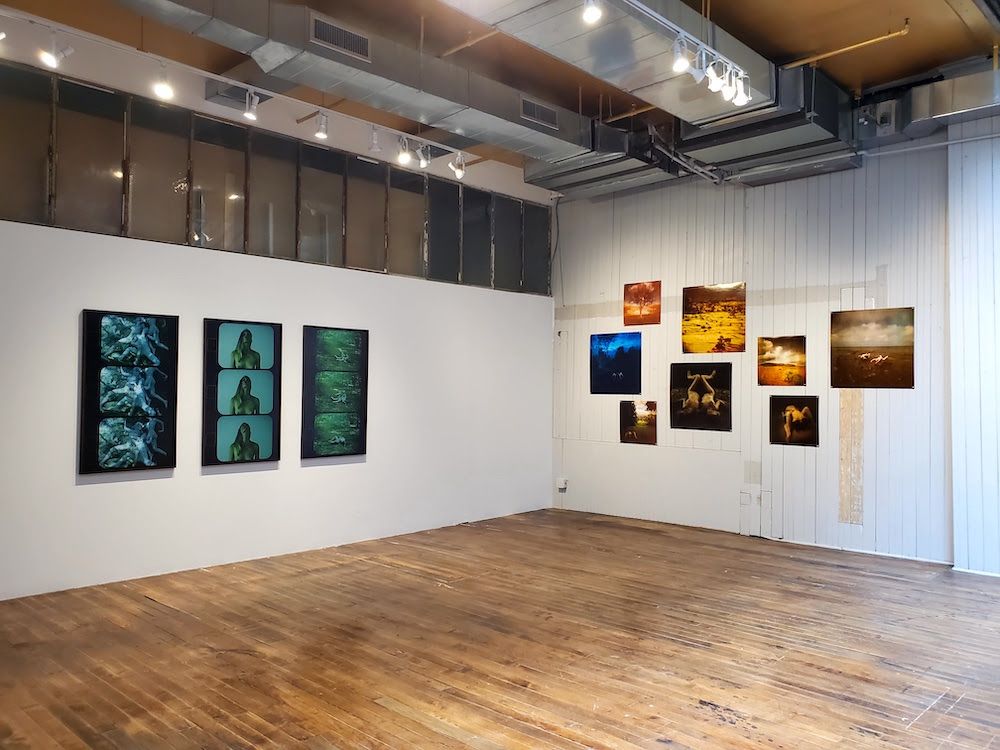 Aneta Bartos, image 3 of 7